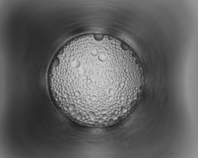 X0000089401283200706291400