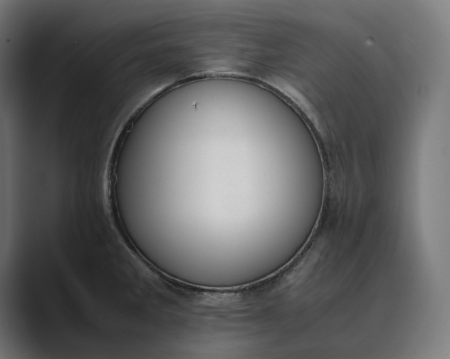 X0000089401285200706291400