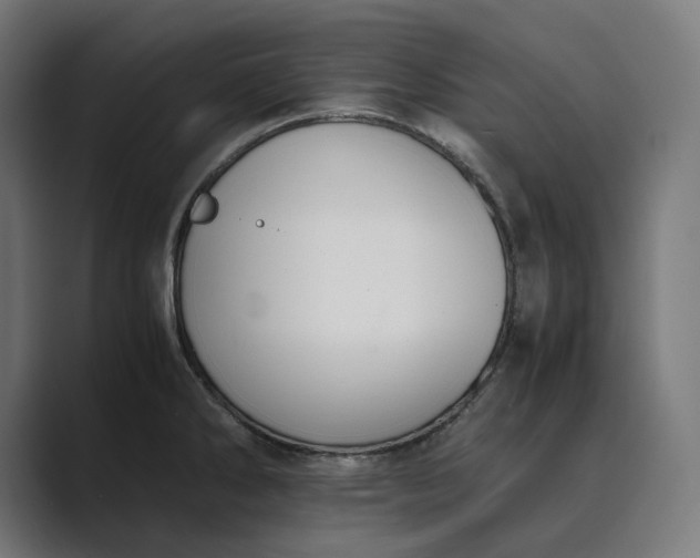 X0000089401286200706291400