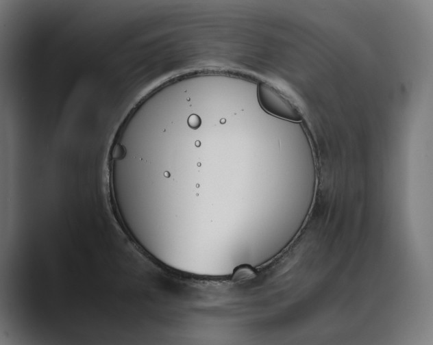 X0000089401287200706291400