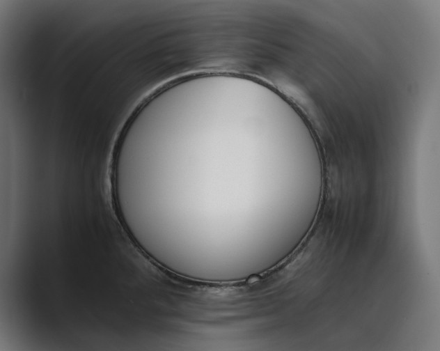 X0000089401288200706291400