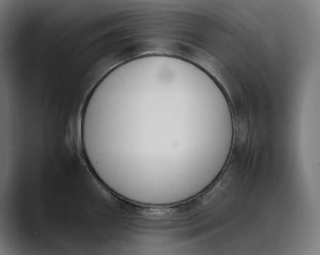 X0000089401290200706291400