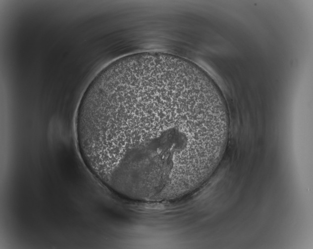 X0000089401291200706291400