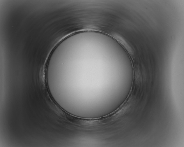 X0000089401292200706291400