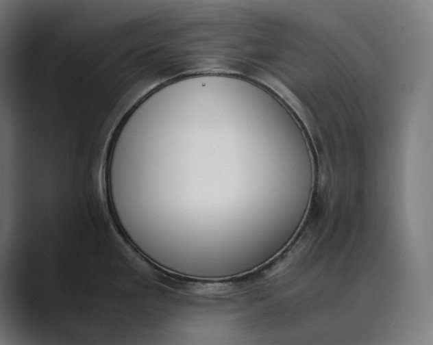 X0000089401293200706291400