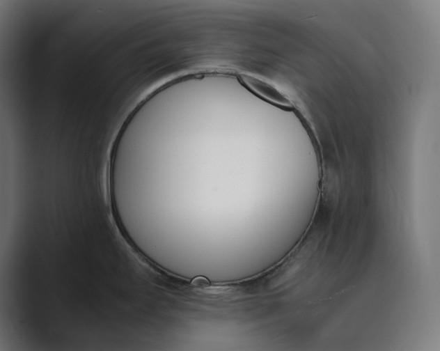 X0000089401295200706291400