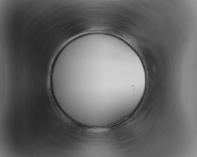 X0000089401296200706291400