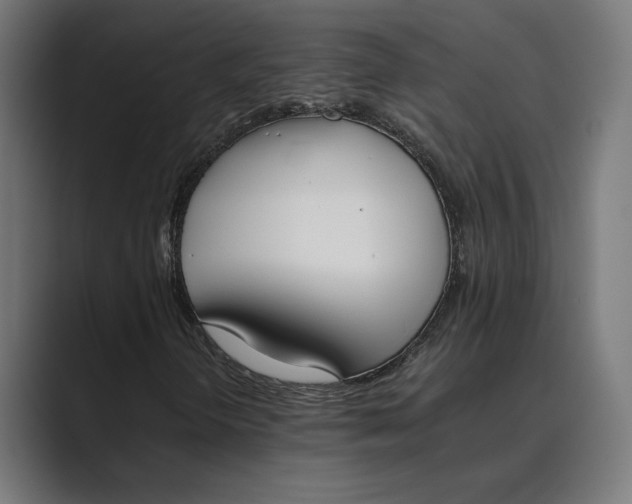 X0000089401298200706291400