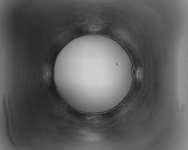 X0000089401299200706291400