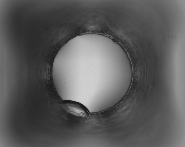 X0000089401301200706291400