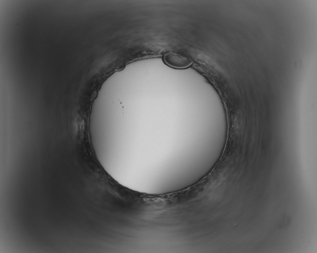 X0000089401302200706291400