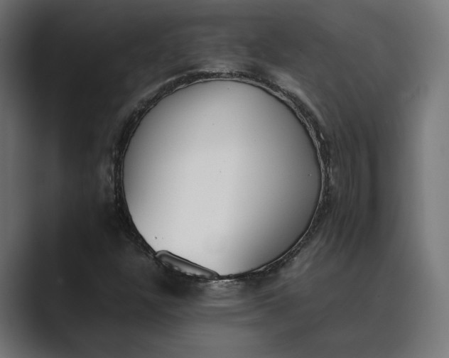 X0000089401304200706291400