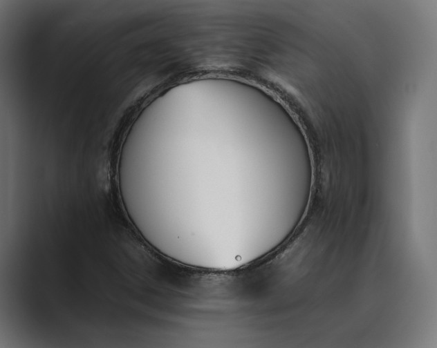 X0000089401306200706291400