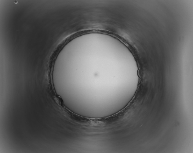 X0000089401312200706291400