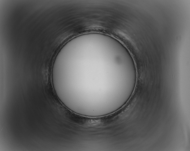 X0000089401313200706291400