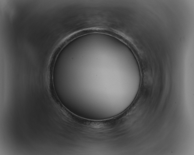 X0000089401319200706291400