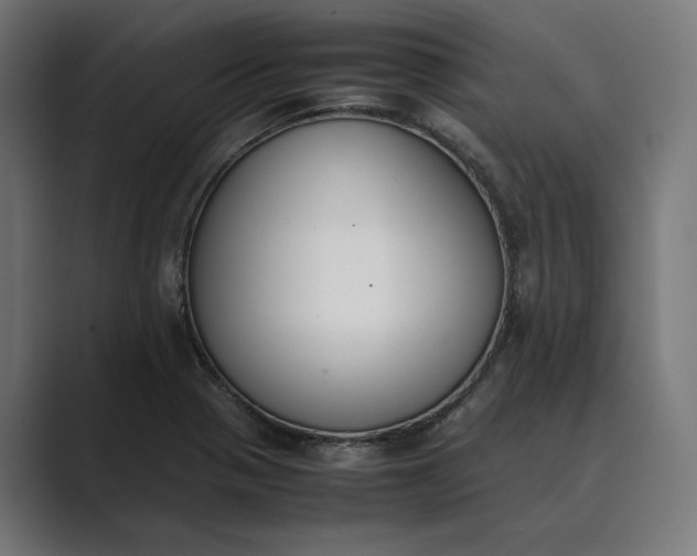 X0000089401321200706291400