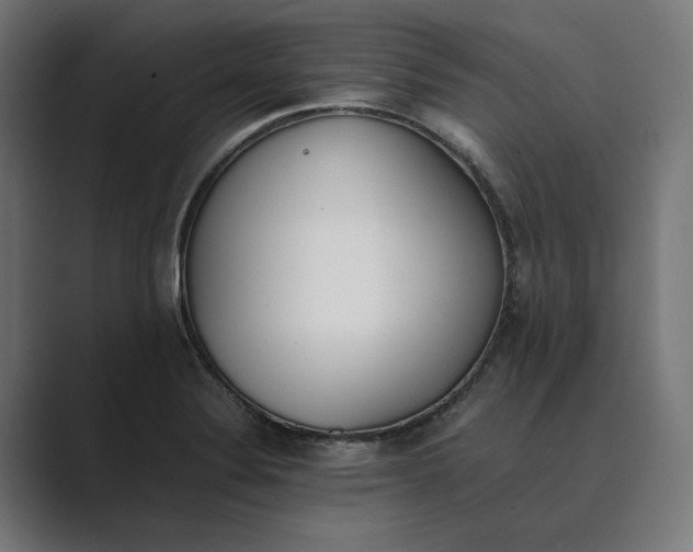 X0000089401324200706291400