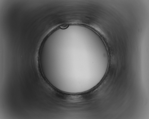 X0000089401325200706291400