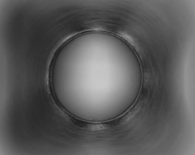 X0000089401331200706291400