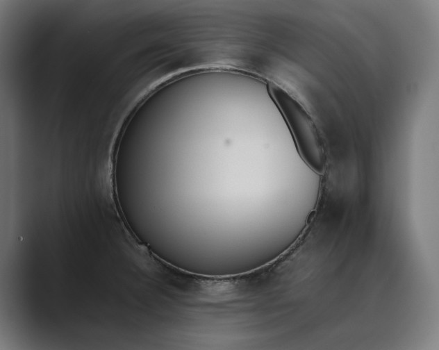 X0000089401332200706291400