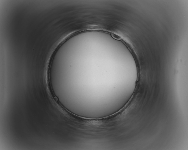 X0000089401333200706291400