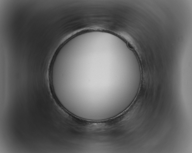 X0000089401335200706291400