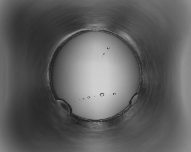 X0000089401336200706291400