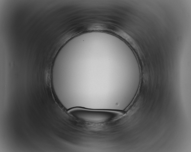 X0000089401337200706291400