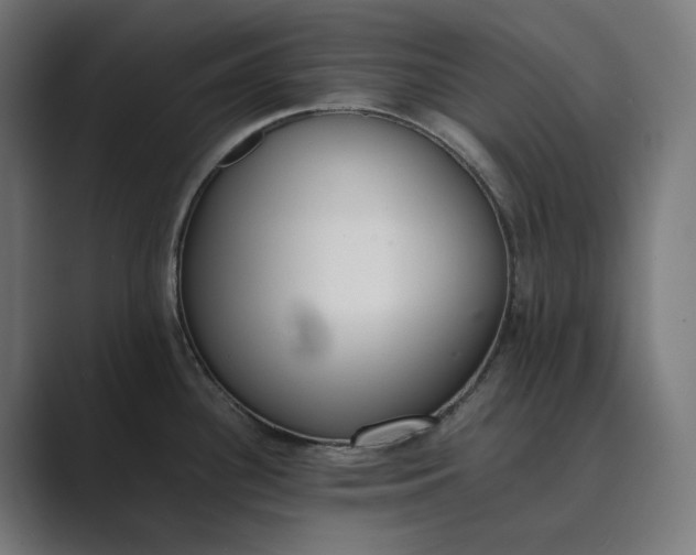 X0000089401340200706291400