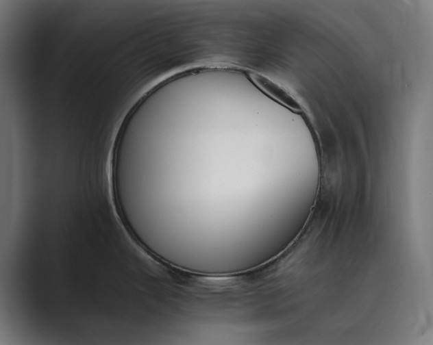 X0000089401343200706291400