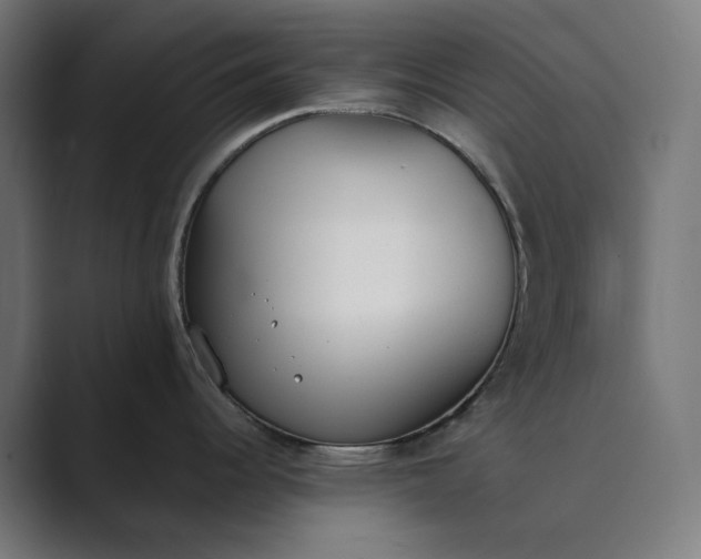 X0000089401344200706291400