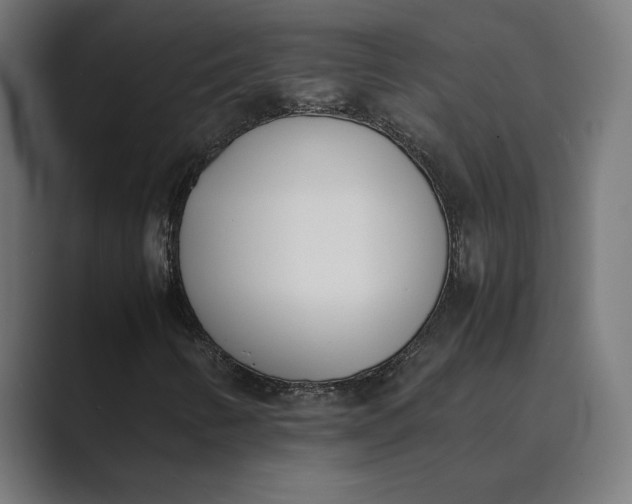 X0000089401346200706291400