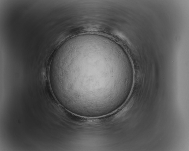 X0000089401353200706291400