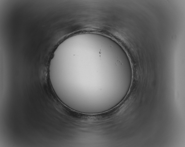 X0000089401355200706291400