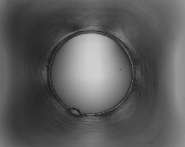 X0000089401356200706291400