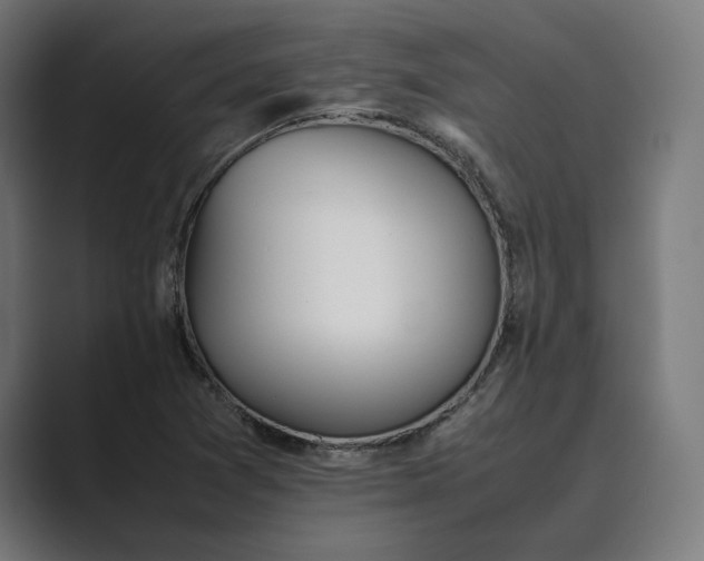 X0000089401361200706291400