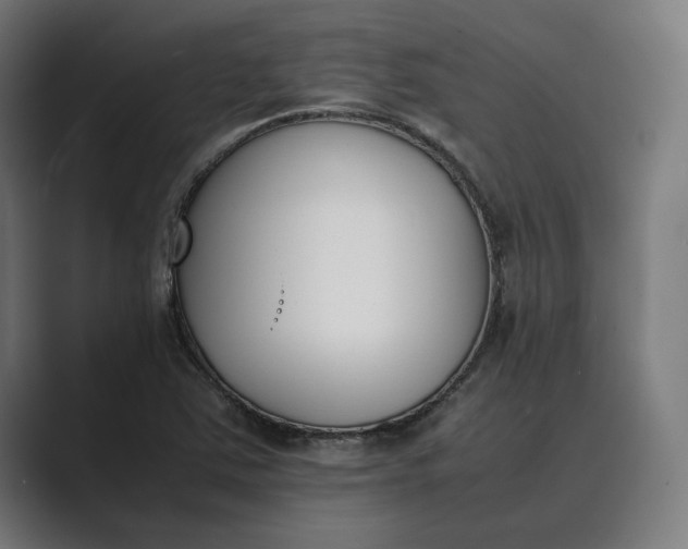 X0000089401363200706291359