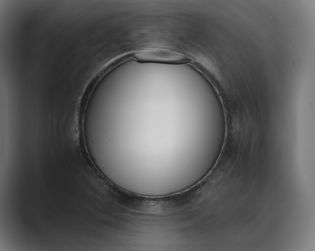 X0000089401364200706291359