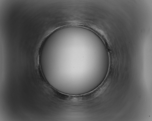 X0000089401365200706291359