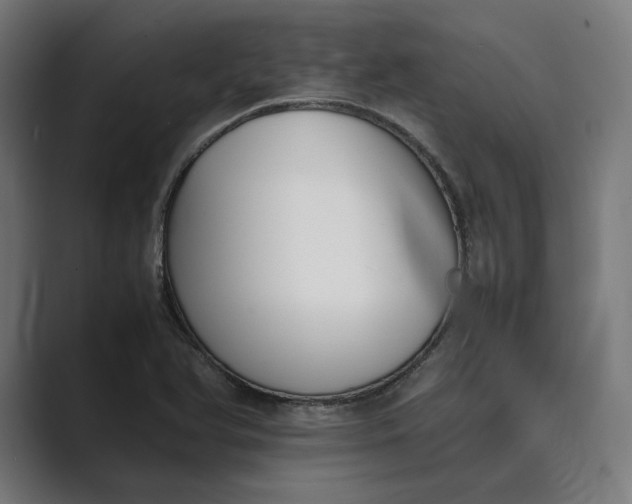 X0000089401366200706291359