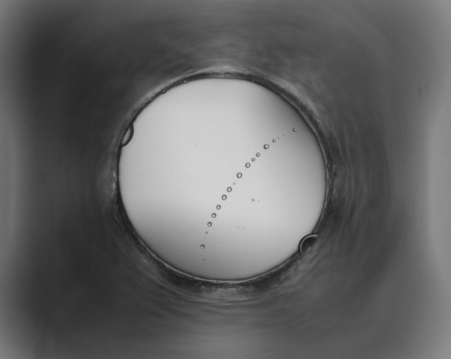 X0000089401367200706291359