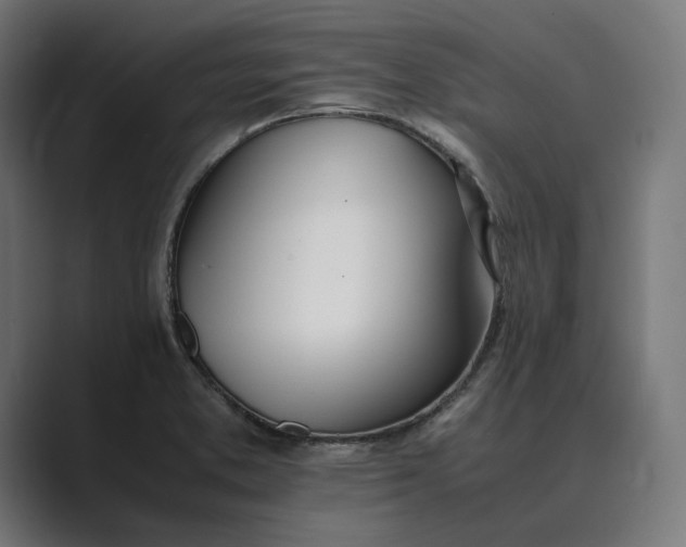 X0000089401373200706291359