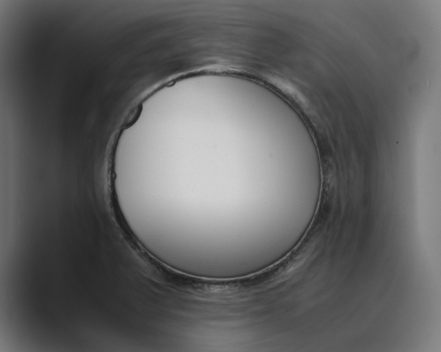 X0000089401375200706291359