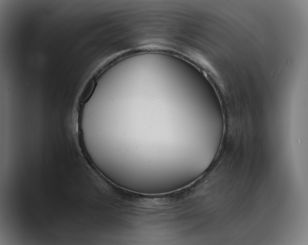 X0000089401376200706291359