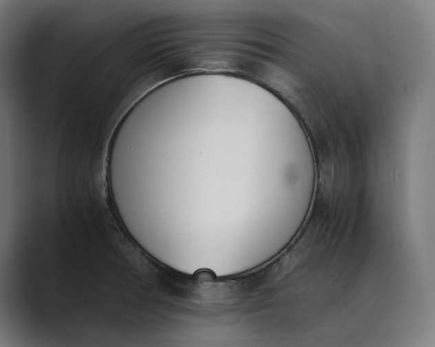 X0000089401378200706291359