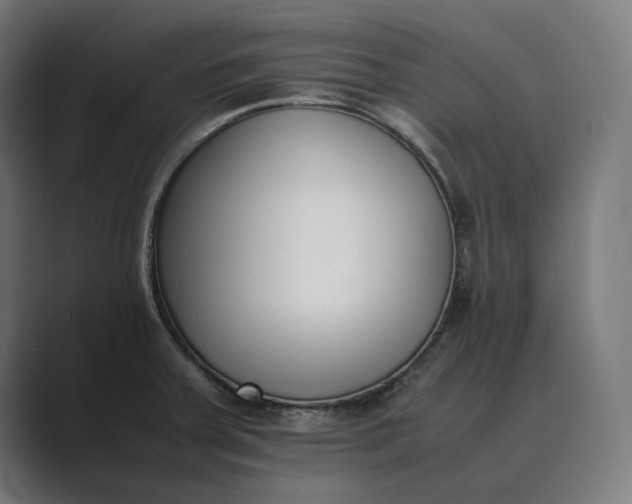 X0000089401379200706291359