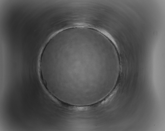 X0000089401381200706291359