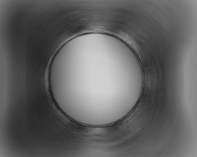 X0000089401382200706291359