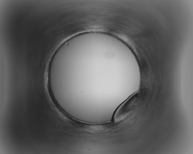 X0000089401383200706291359